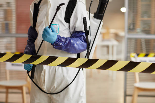 Professional Sewage Cleanup technician working in South Dennis, MA